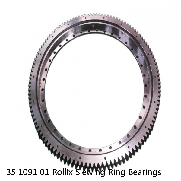 35 1091 01 Rollix Slewing Ring Bearings
