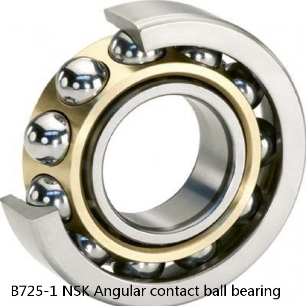 B725-1 NSK Angular contact ball bearing