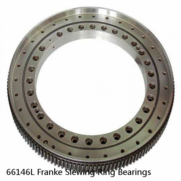66146L Franke Slewing Ring Bearings #1 small image