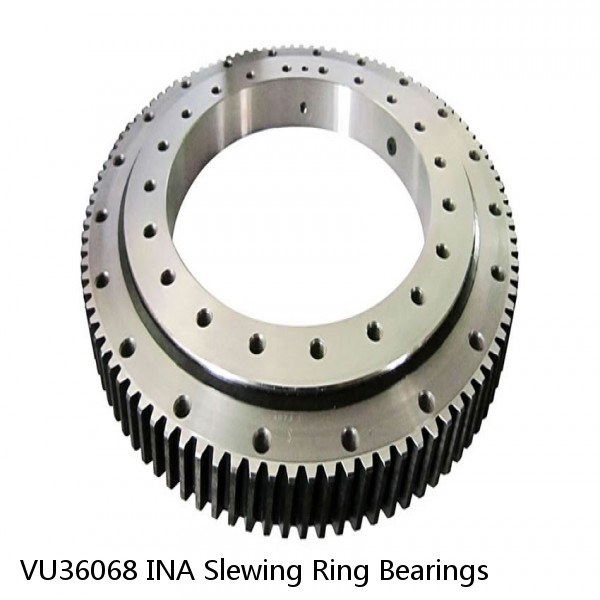VU36068 INA Slewing Ring Bearings #1 small image