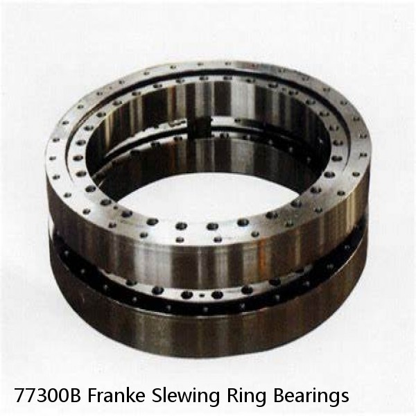 77300B Franke Slewing Ring Bearings #1 small image