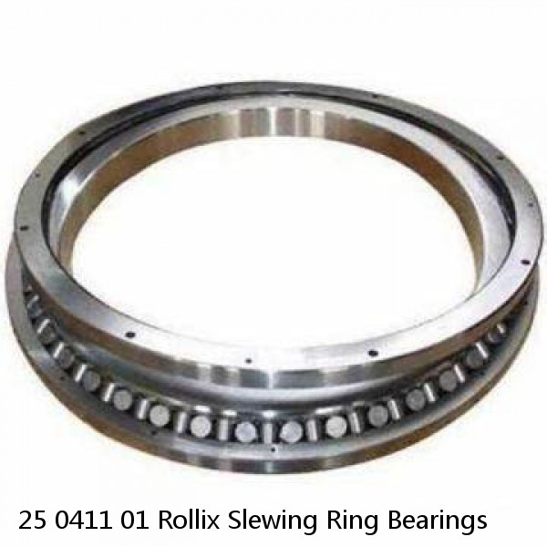 25 0411 01 Rollix Slewing Ring Bearings #1 small image
