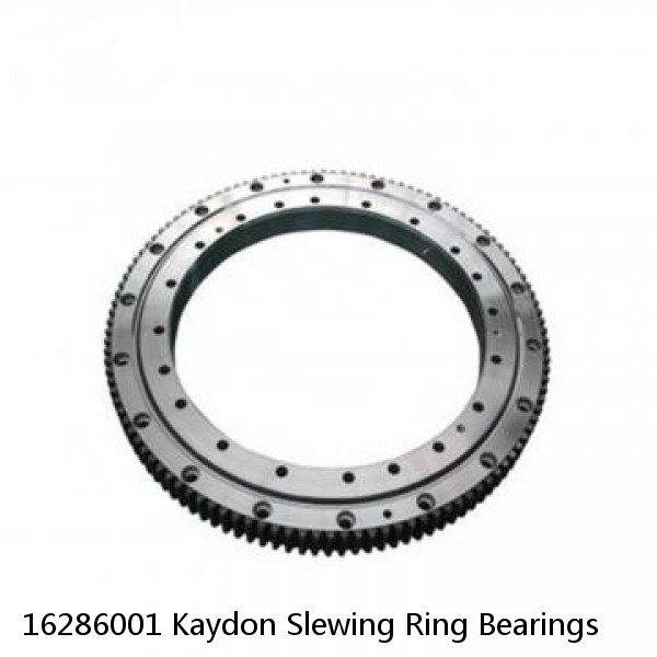 16286001 Kaydon Slewing Ring Bearings