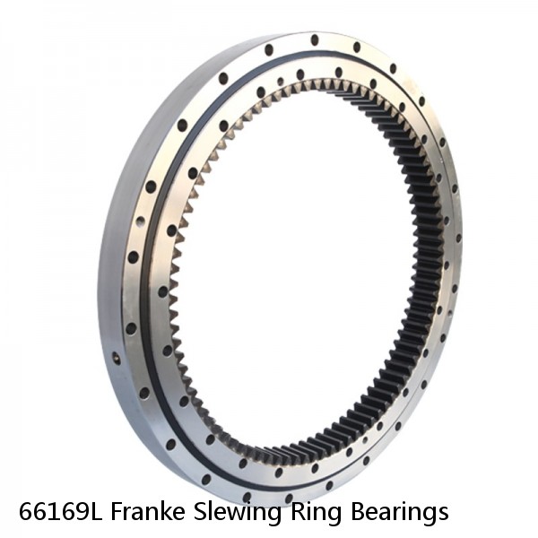66169L Franke Slewing Ring Bearings