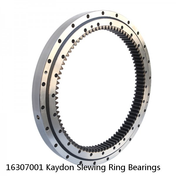 16307001 Kaydon Slewing Ring Bearings