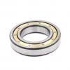 0.787 Inch | 20 Millimeter x 1.85 Inch | 47 Millimeter x 0.551 Inch | 14 Millimeter  SKF NU 204 ECPHA/C3  Cylindrical Roller Bearings #1 small image
