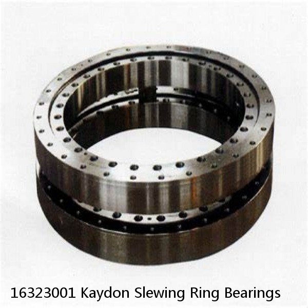 16323001 Kaydon Slewing Ring Bearings #1 small image
