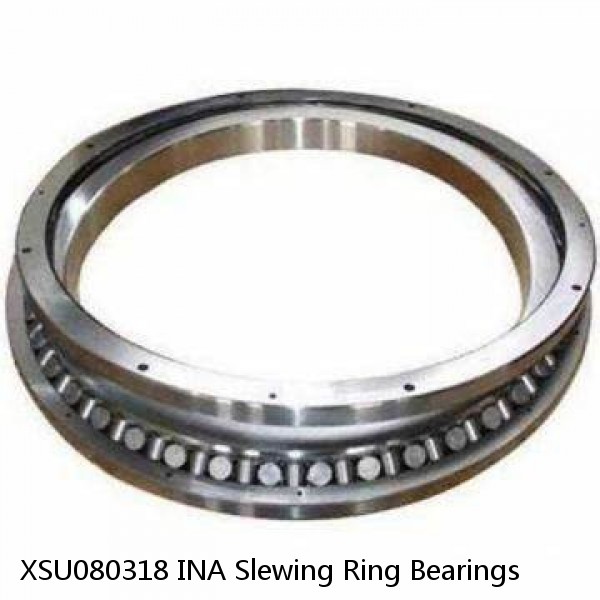 XSU080318 INA Slewing Ring Bearings #1 small image