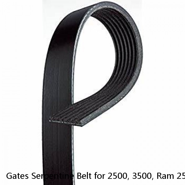 Gates Serpentine Belt for 2500, 3500, Ram 2500, Ram 3500 K081264