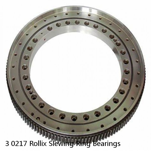 3 0217 Rollix Slewing Ring Bearings #1 image