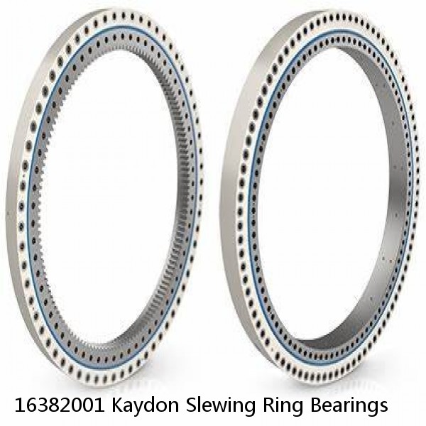 16382001 Kaydon Slewing Ring Bearings #1 image