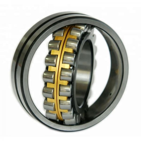 55 mm x 120 mm x 43 mm  FAG NJ2311-E-TVP2  Cylindrical Roller Bearings #1 image