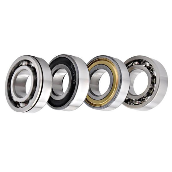 FAG NU305-E-M1A-C3  Cylindrical Roller Bearings #2 image