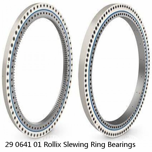 29 0641 01 Rollix Slewing Ring Bearings #1 image