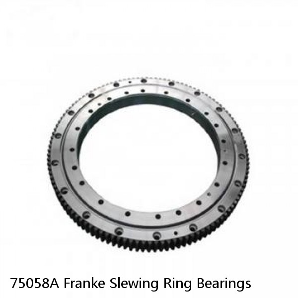 75058A Franke Slewing Ring Bearings #1 image