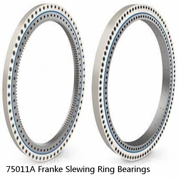 75011A Franke Slewing Ring Bearings #1 image