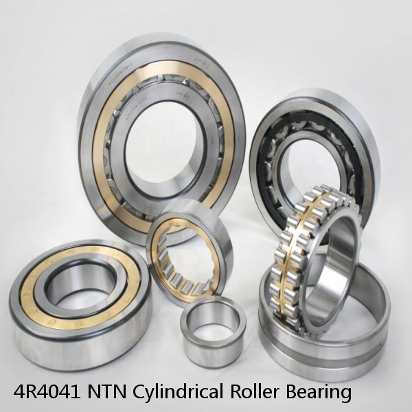 4R4041 NTN Cylindrical Roller Bearing #1 image