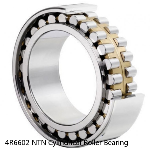 4R6602 NTN Cylindrical Roller Bearing #1 image