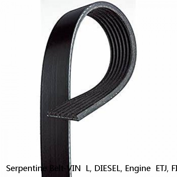 Serpentine Belt-VIN  L, DIESEL, Engine  ETJ, FI, Turbo, Bando 8PK3210 #1 image